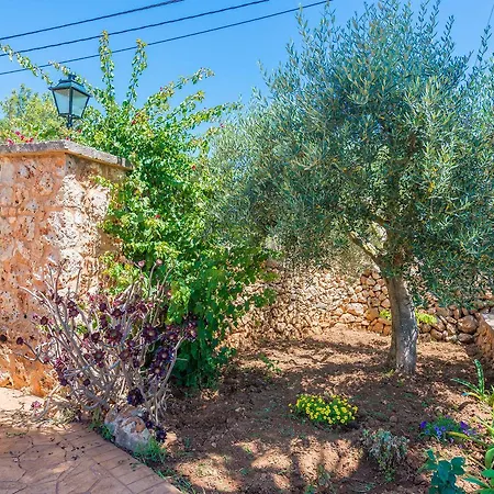 Clau De Sol * Can Picafort (Mallorca)