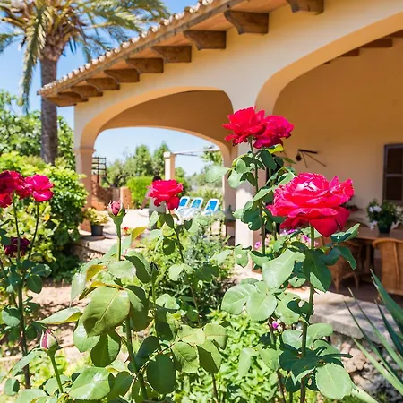 Clau De Sol * Can Picafort (Mallorca)