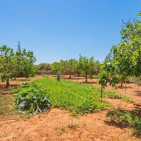 Villa Clau De Sol Can Picafort (Mallorca)